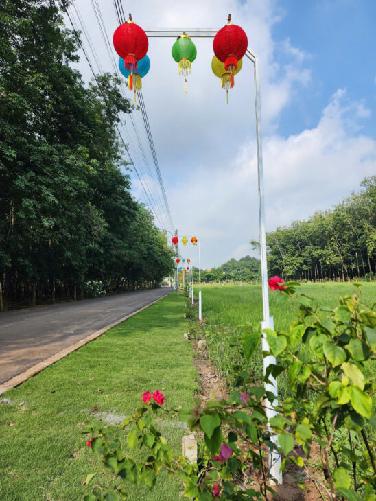 Cần bán đất tại phú giáo bình dương ngân hàng đã duyệt vay