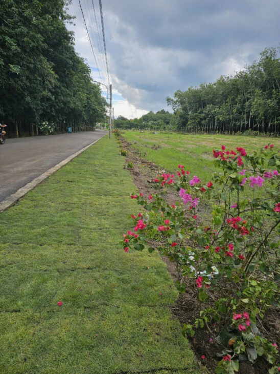 CẦN BÁN ĐẤT SỔ SẴN CÔNG CHỨNG NGAY NGÂN HÀNG HỖ TRỢ 70%