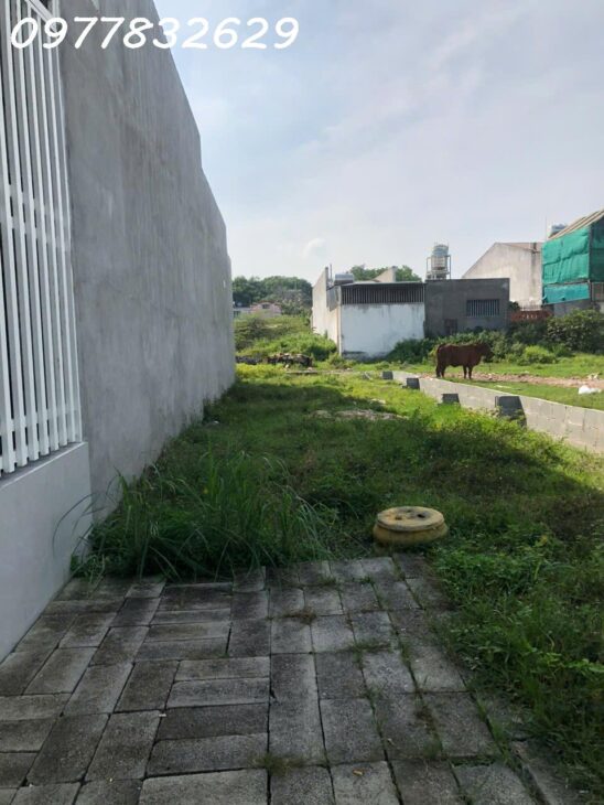 Bán 5m x 20m đất ODT Phước Hội – TX LaGi giá rẻ nhất 1.4 tỷ