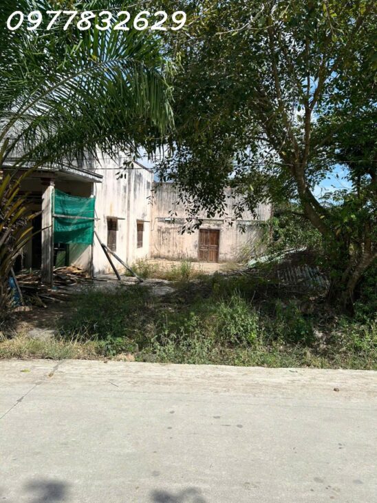 Bán đất 2 mặt tiền nhựa Tân Xuân – Hàm Tân GIÁ RẺ 1.2 TỶ