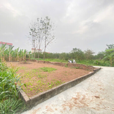 GIÁ 2,8 TỶ ĐẤT TẠI THƯỢNG VỰC-CHƯƠNG MỸ D/T:109,3M