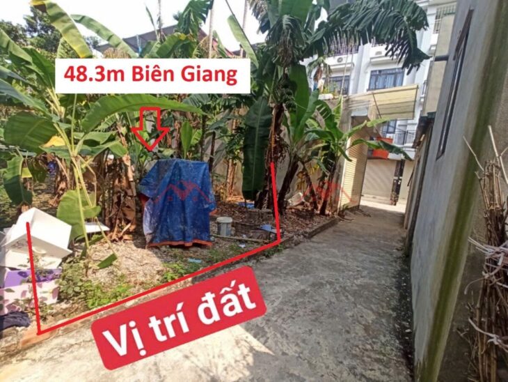 GIÁ 3,1 TỶ ĐẤT TẠI BIÊN GIANG-QUẬN HÀ ĐÔNG D/T:48,3M