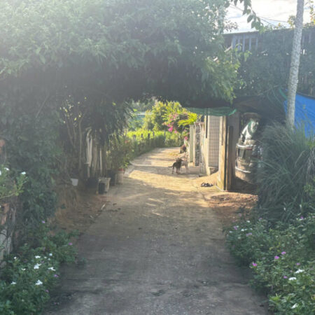 Bán 6m x 30m đất ONT Tân Bình – TX LaGi hạ giá 40%