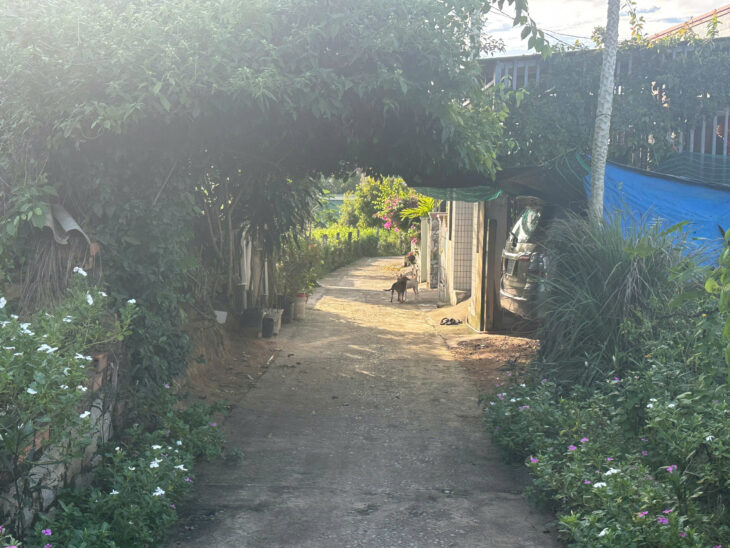 Bán 6m x 30m đất ONT Tân Bình – TX LaGi hạ giá 40%