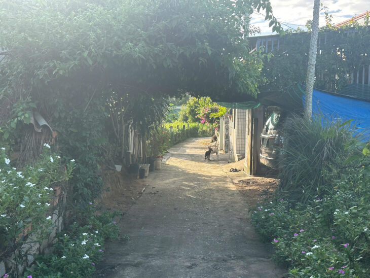 Bán 6m x 30m đất ONT Tân Bình – TX LaGi hạ giá 40%