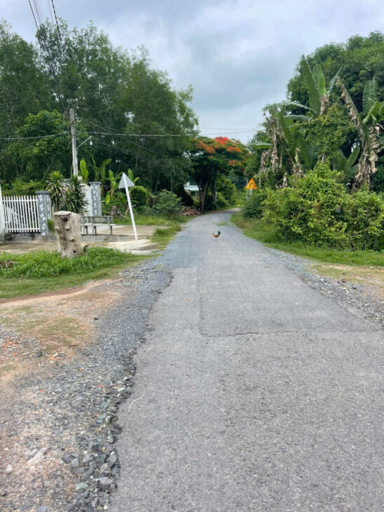 Sở Hữu Lô Đất Mặt Tiền Đường Nhựa Tại Ấp Thanh Hòa, Thanh Điền, Châu Thành, Tây Ninh