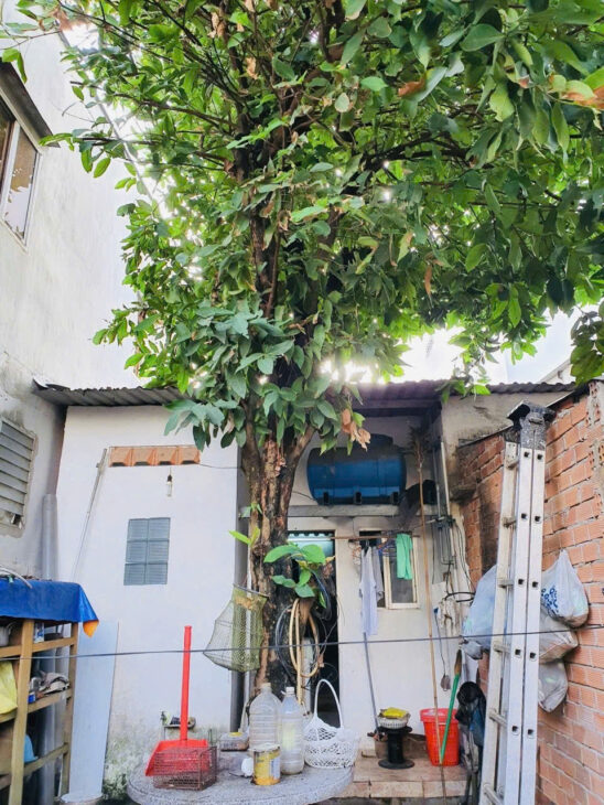 BÁN NHÀ MẶT TIỀN ĐƯỜNG 442 – PHƯỜNG TĂNG NHƠN PHÚ A – THỦ ĐỨC – 101M2 – GIÁ TỐT