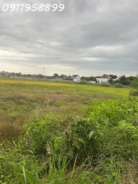 Bán đát thổ cư Đường Lê Đức Thọ, Tân Bình, thị xã LaGi chỉ 950 triệu sổ riêng