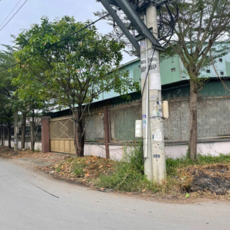 Bán nhà 2 mặt tiền 31x32m giá 19 tỷ Đường Nhị Bình 4, Hóc Môn Bán nhà 2 mặt tiền 31x32m giá 19 tỷ Đường Nhị Bình 4, Hóc Môn