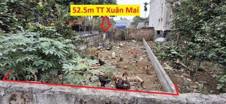 SIÊU PHẨM GIÁ 1,6 TỶ ĐẤT TẠI TT XUÂN MAI-CHƯƠNG MỸ D/T:52,5M