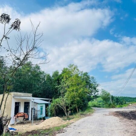 MUA BÁN ĐẤT VƯỜN CÓ SUỐI ĐẸP TẠI KHÁNH HOÀ