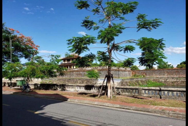 ???? Nhà 2 tầng view Đại Nội cực đẳng cấp và hiếm có Đặng Thái Thân giao nhau với Lê Huân