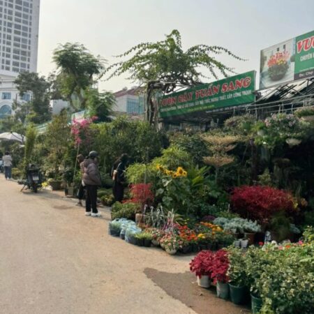 Bán nhà Vạn Phúc-Hà Đông, DT 35m2 x 5T,MT 3.2m, nhà mới , thang máy , mặt ngõ ô tô . Giá 6.5 tỷ Bán nhà Vạn Phúc-Hà Đông, DT 35m2 x 5T,MT 3.2m, nhà mới , thang máy , mặt ngõ ô tô . Giá 6.5 tỷ