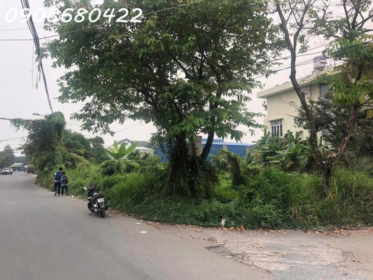 Bán Lô Góc Tuyệt Đẹp Đường D6 Kiến Á Gần Đường Liên Phường, Phước Long B