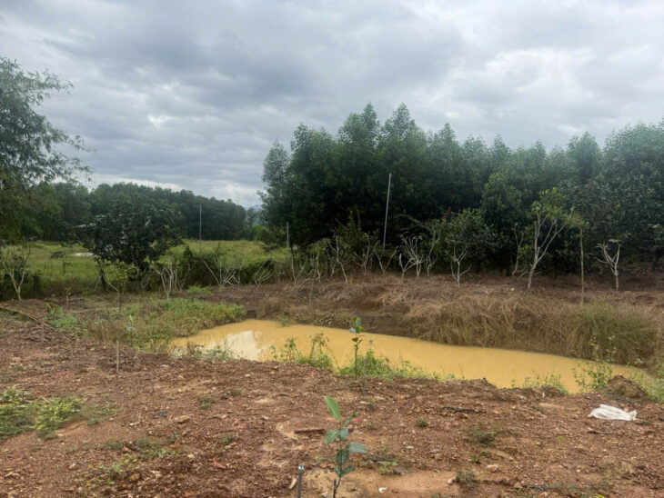 Đất vườn Diên Xuân – Diên Khánh – Khánh Hòa . Phù hợp xây farm