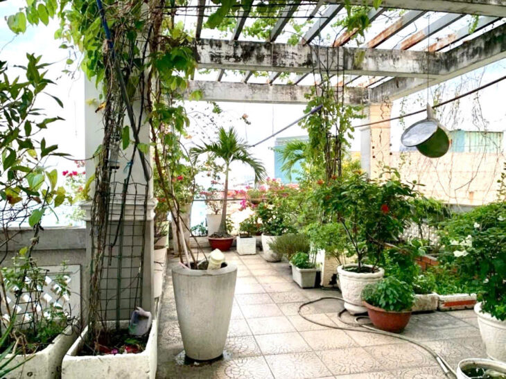 Biệt thự mini cách MT Lê Hoàng Phái 10m đường, 5 lầu 150m2 chỉ hơn 11 tỷ
