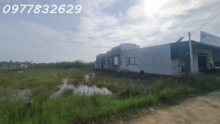 Bán 10m x 35m đất ONT Tân Phước – TX LaGi giá rẻ nhất Gần 577