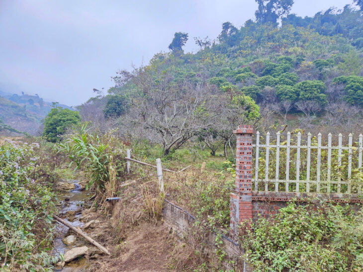 CẦN THANH KHOẢN GẤP MẢNH ĐẤT TẠI VÂN HỒ KHU DU LỊCH QUỐC GIA MỘC CHÂU.