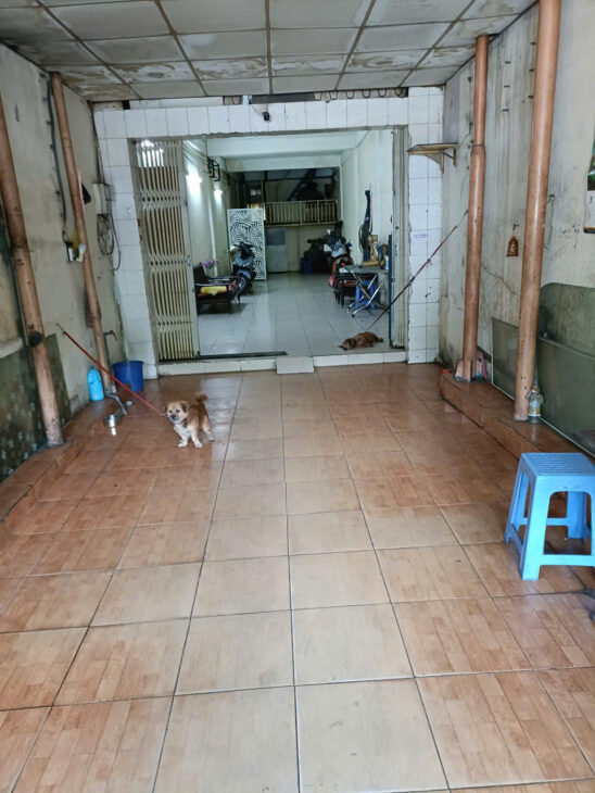 Chính Chủ Cần Bán Gấp Nhà Mặt Tiền Số 470 Đường Nguyễn Tất Thành