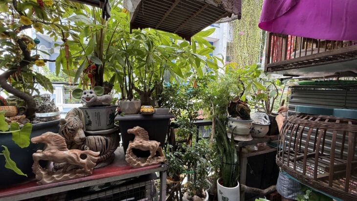 VƯỜN LÀI DT: 48M2 ( 4 x 12 ) 2 TẦNG – 3PN – HẺM XE HƠI THÔNG – SỔ CHÍNH CHỦ 1 ĐỜI – VUÔNG VỨC –