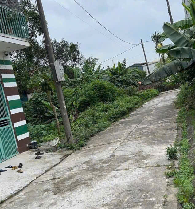 ĐẤT ĐẸP – GIÁ TỐT – Vị Trí Đắc Địa Tại Đường Phúc Tiến, Quận Hà Đông, Thành phố Hà Nội