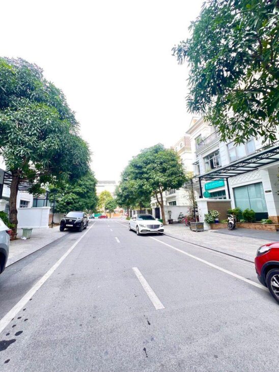 BIỆT THỰ NGUYỆT QUẾ, 176M, MT 8.6M, XÂY THÔ, ĐẲNG CẤP THƯỢNG LƯU, 42.5 TỶ