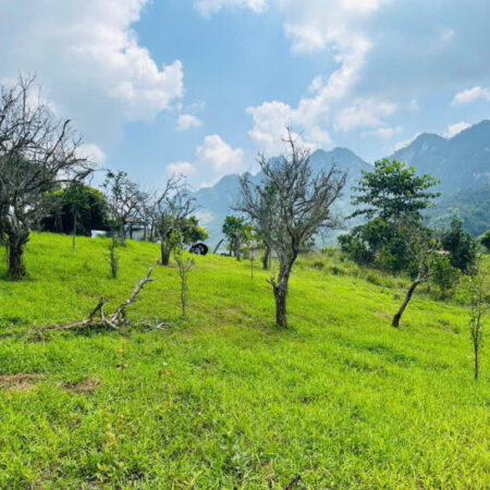 Cơ hội sở hữu mảnh đất tại trung tâm Du lịch Mường Sang Mộc Châu chỉ với giá hơn một tỷ, Cơ hội x2