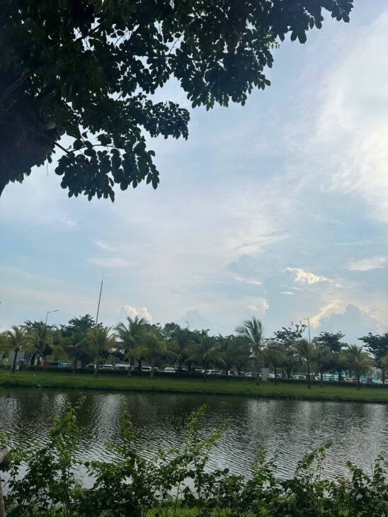 Chính chủ gửi bán căn hộ giá cực kỳ cạnh tranh tại Thủ Đức