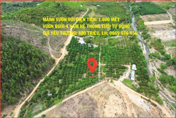 BÁN MẢNH VƯỜN CÓ TRỒNG BƯỞI 4 NĂM TẠI KHÁNH HIỆP – KHÁNH VĨNH – KHÁNH HOÀ