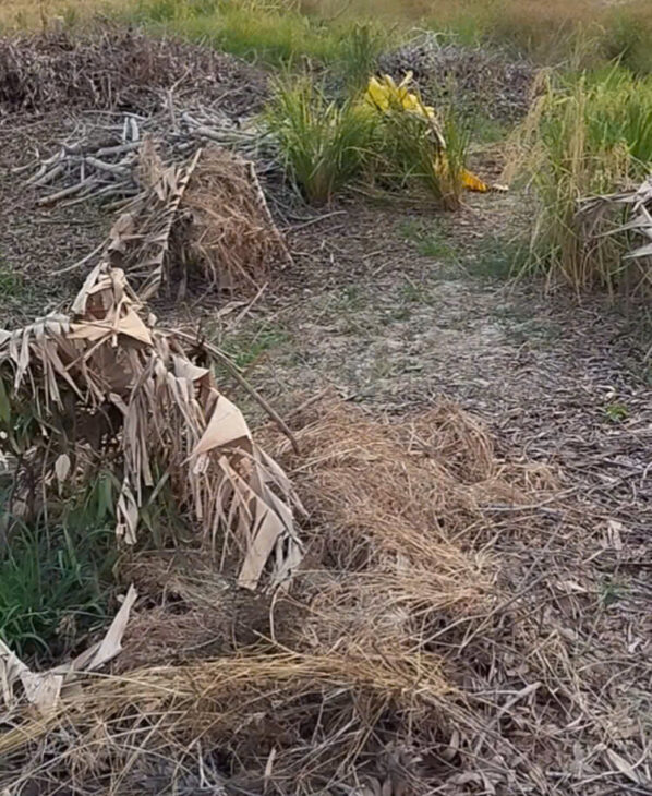 ĐẤT ĐẸP – ĐẦU TƯ SINH LỜI – CHÍNH CHỦ Cần Bán Nhanh Đất