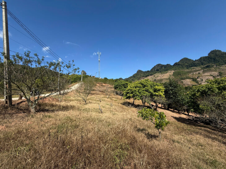 Cần bán cắt lỗ mảnh đất 9000m2 vị trí view siêu đẹp tại Mường Sang Mộc Châu.