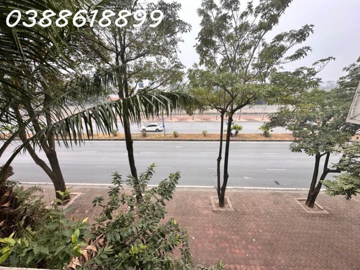 BIỆT THỰ PALM GARDEN, VIỆT HƯNG, 203M, MT 11M, HÀNG XÓM VIN RIVERSIDE, CHỈ 35.4 TỶ