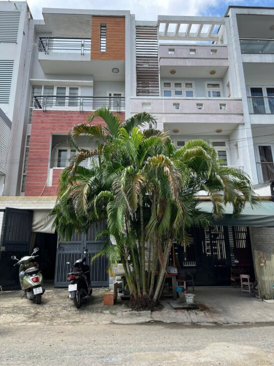 Mặt tiền kinh doanh Trịnh Quang Nghị 4×20 chỉ 11 tỷ 4