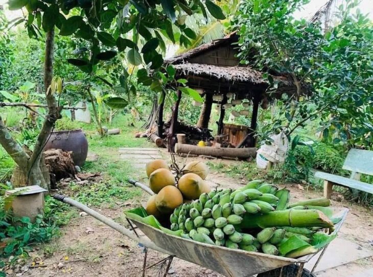 Vỡ nợ cần bán lỗ 3500 m2. giá 310tr đường 10m, có nhà vườn nhỏ.