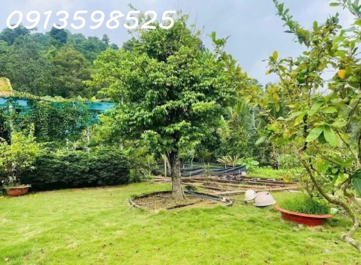 Nhà vườn nghỉ dưỡng 1700M2 bán đủ 290TR Sổ Sẵn lh: 0913598525