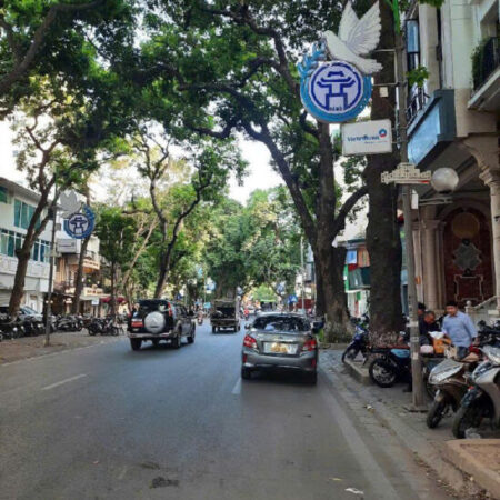 Siêu phẩm Ba Đình – 70m – lô góc – 6 tầng thang máy – Kinh doanh – 19 tỷ Siêu phẩm Ba Đình – 70m – lô góc – 6 tầng thang máy – Kinh doanh – 19 tỷ