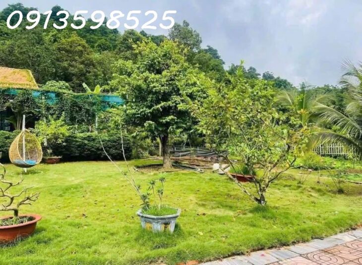 Nhà vườn nghỉ dưỡng 1700M2 bán đủ 290TR Sổ Sẵn lh: 0913598525