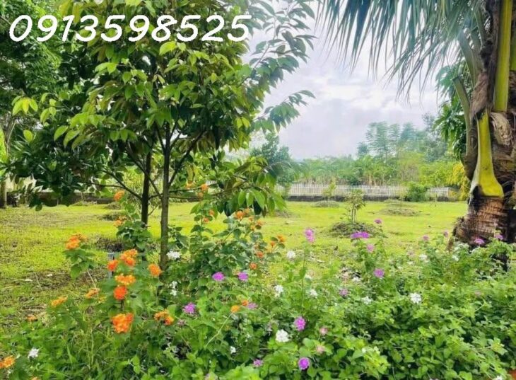 Nhà vườn nghỉ dưỡng 1700M2 bán đủ 290TR Sổ Sẵn lh: 0913598525