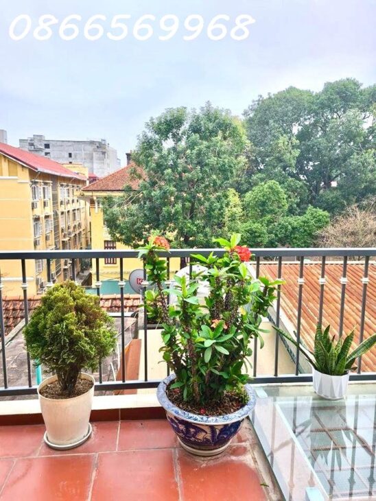 NHÀ ĐẸP Ở NGAY, CỬA BẮC, BA ĐÌNH, 62M, MT 6M, GẦN PHỐ, CHO THUÊ TỐT, 18.45 TỶ