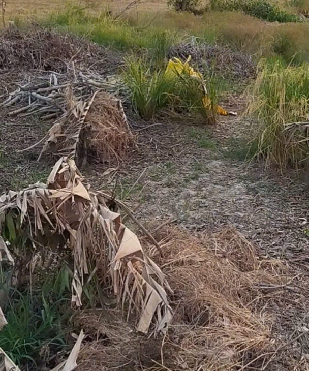 ĐẤT ĐẸP – ĐẦU TƯ SINH LỜI – CHÍNH CHỦ Cần Bán Nhanh Đất