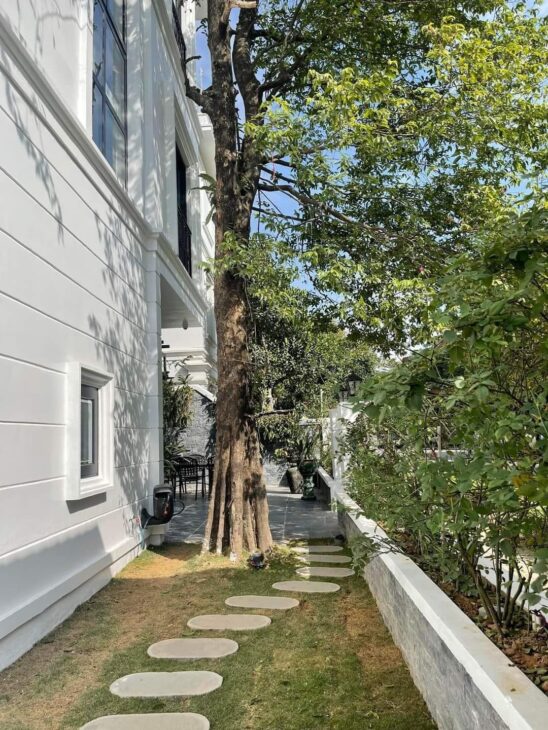 ???? Biệt thự VIP T5 Khu đô thị Ciputra, Phú Thượng, Tây Hồ, 335m2 4T MT 16m, Chỉ 105 Tỷ ????