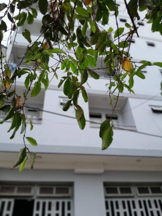 6 tầng 42 Phòng 168m2 có 31,5 tỷ Phan Huy Ích Phường 15 Tân Bình Hồ Chí Minh