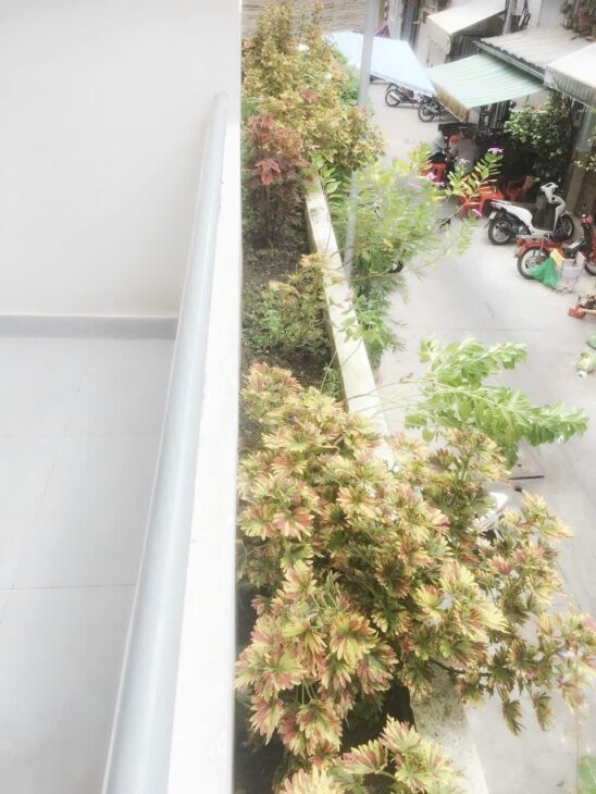 Bán Nhà Hẻm Đường Nguyễn Trãi, Phường 7, Quận 5 (5.9 x 8.4m), Giá 14 Tỷ