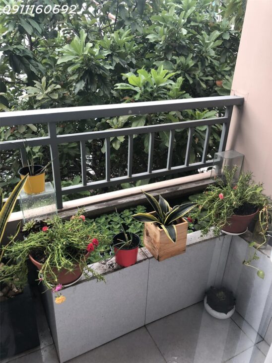 Nhà Hẻm Xe Hơi Tô Hiến Thành, P.15, Q.10 – Diện Tích 3.78 x 22m – Giá 16.7 Tỷ