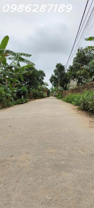CẦN SANG NHƯỢNG LÔ ĐẤT TẠI HỮU ÁI GIANG SƠN, GIA BÌNH, BẮC NINH 0986287189