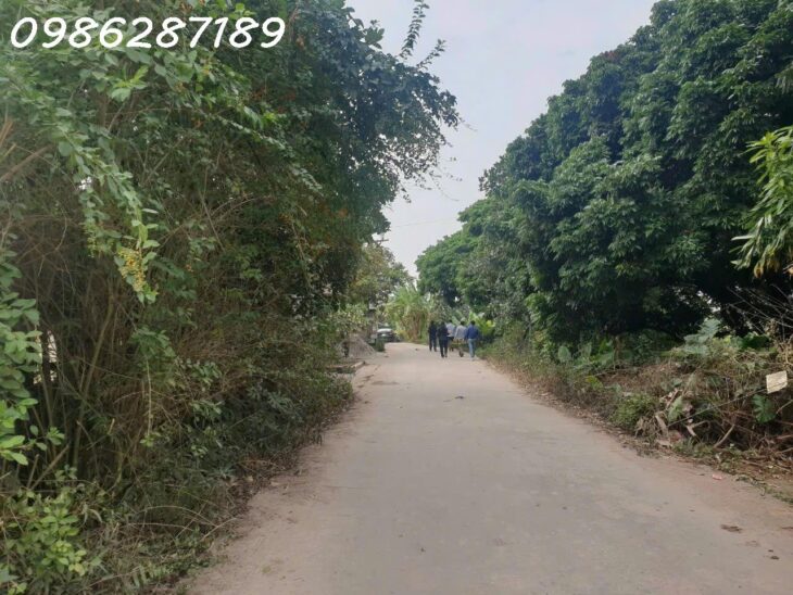 CẦN SANG NHƯỢNG LÔ ĐẤT TẠI HỮU ÁI GIANG SƠN, GIA BÌNH, BẮC NINH 0986287189