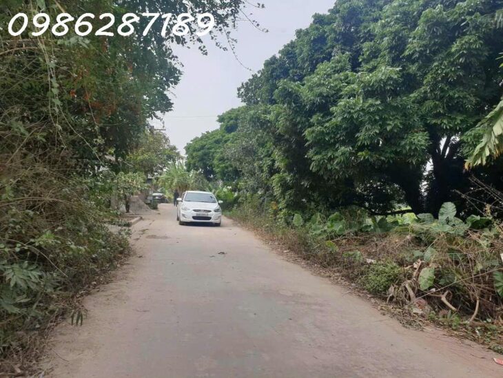 CẦN SANG NHƯỢNG LÔ ĐẤT TẠI HỮU ÁI GIANG SƠN, GIA BÌNH, BẮC NINH 0986287189