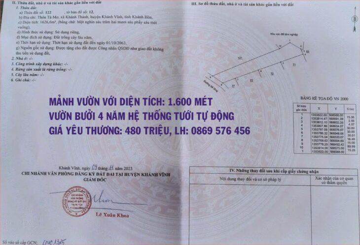 BÁN MẢNH VƯỜN CÓ TRỒNG BƯỞI 4 NĂM TẠI KHÁNH HIỆP – KHÁNH VĨNH – KHÁNH HOÀ