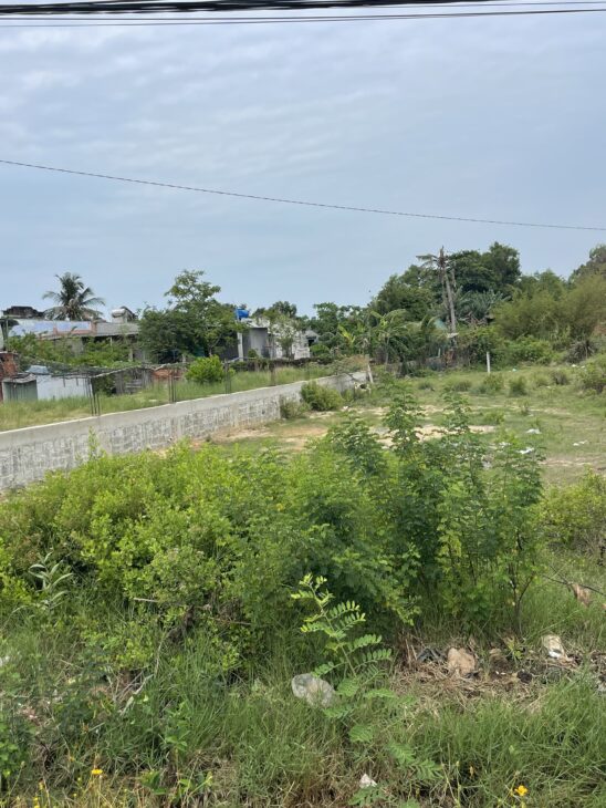 Chỉ 750 triệu/ lô đất mặt tiền Trần Quốc Toản, thị xã LaGi full thổ cư gái ngộp