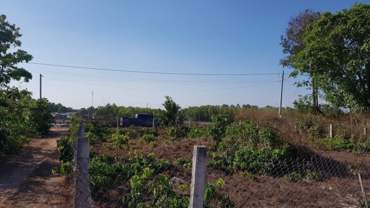 Bán đất thổ cư Hẻm Quốc Lộ 55, Tân Thiện, thị xã Lagi giá rẻ chỉ 1.6 tỷ